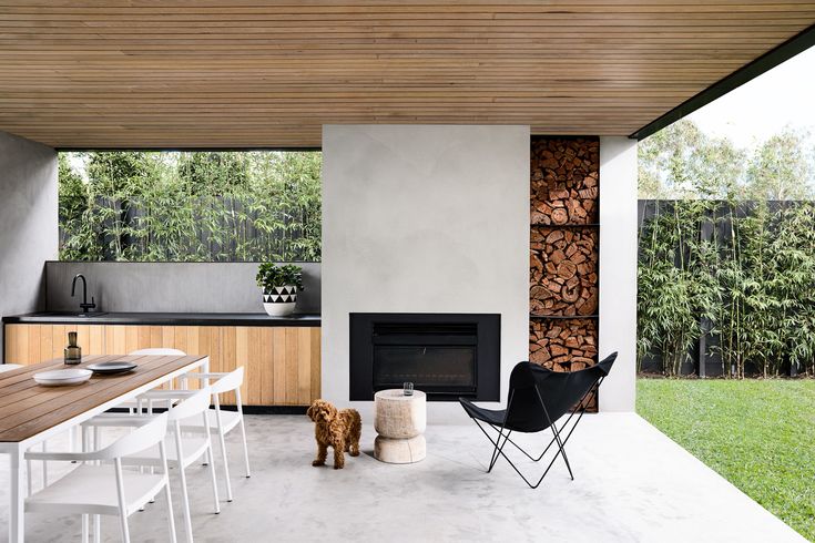 a dog is standing in the middle of an outdoor living area with fireplace and television