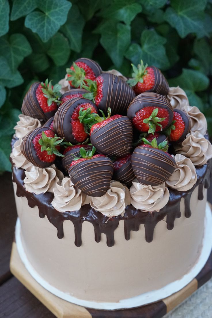 a chocolate covered cake with strawberries on top