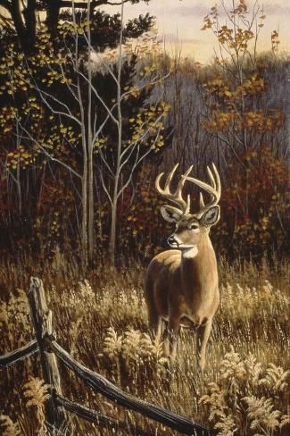 a painting of a deer in the woods