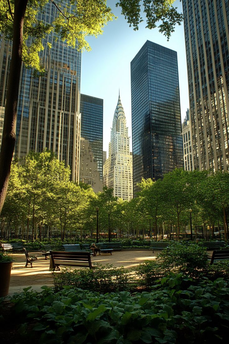 there are many benches in the park with skyscrapers in the backgrounnd