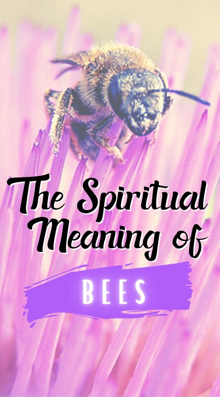 a bee sitting on top of a pink flower with the words, the spirital meaning of bees