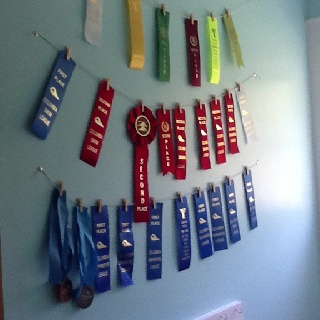 a wall with ribbons hanging from it's sides and medals attached to the side