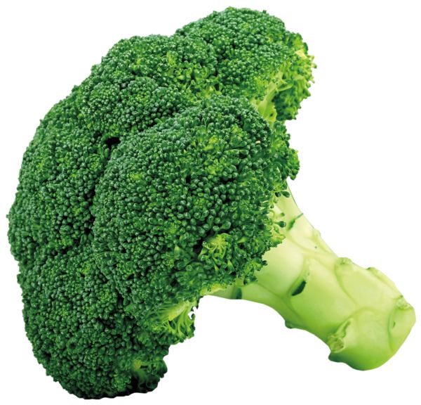 two pieces of broccoli sitting next to each other