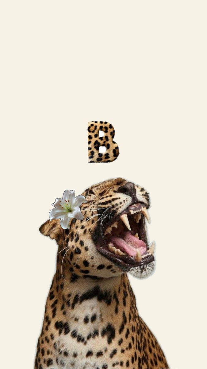 a leopard with its mouth open and the letter b on it's head is shown