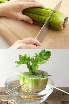 there are two pictures one has celery and the other has an onion on it