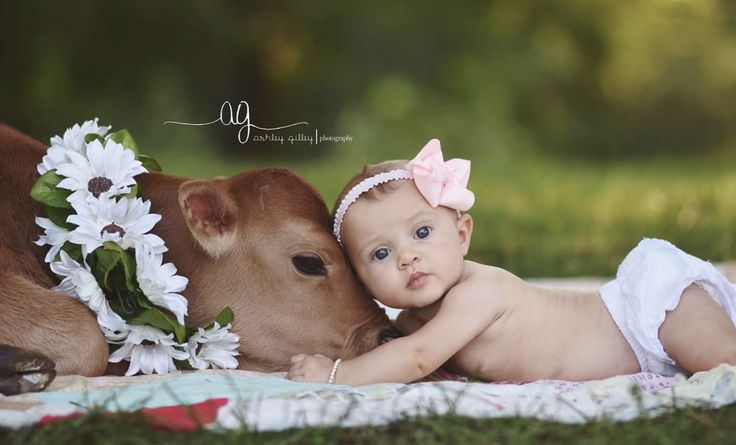 a baby laying on top of a blanket next to a cow with flowers in its hair