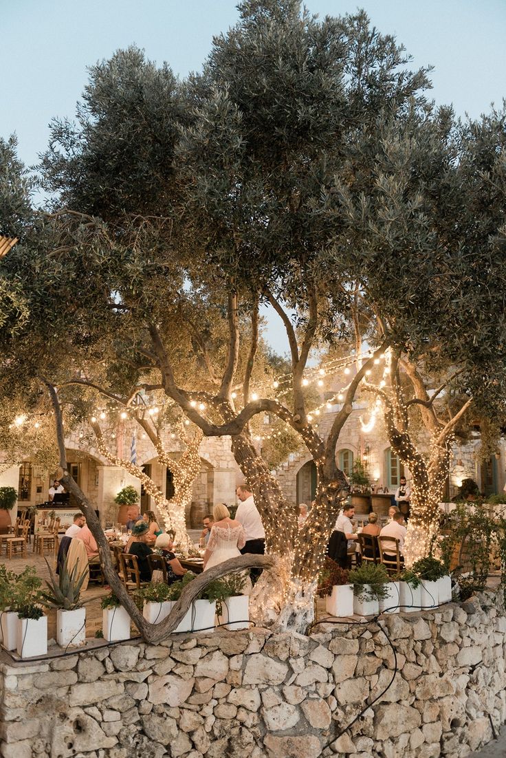 people sitting at tables under an olive tree in front of a stone wall with potted plants