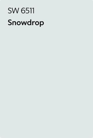 the snowdrop logo is shown in black on a light blue background with white lettering