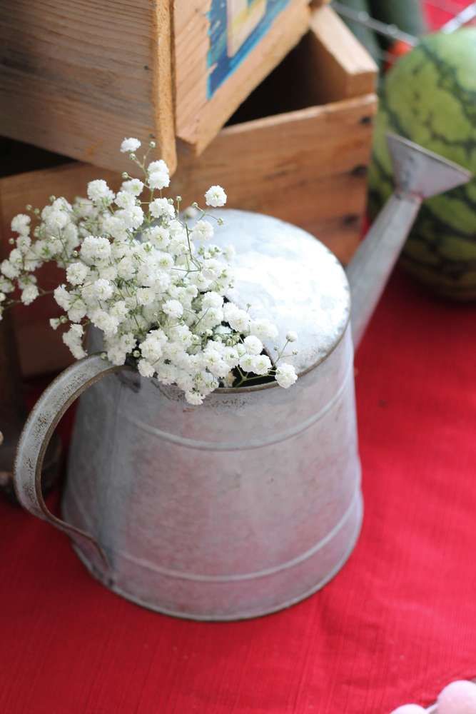 small white flowers are in a watering can