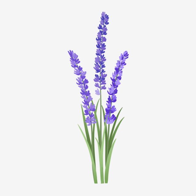 some purple flowers are in the middle of green stems on a white background, and there is no image to describe