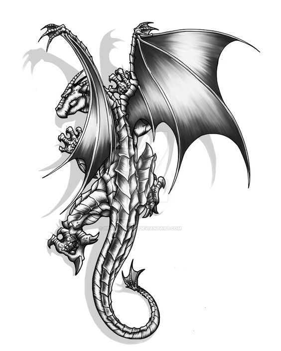 a black and white drawing of a dragon with its wings spread out, on a white background