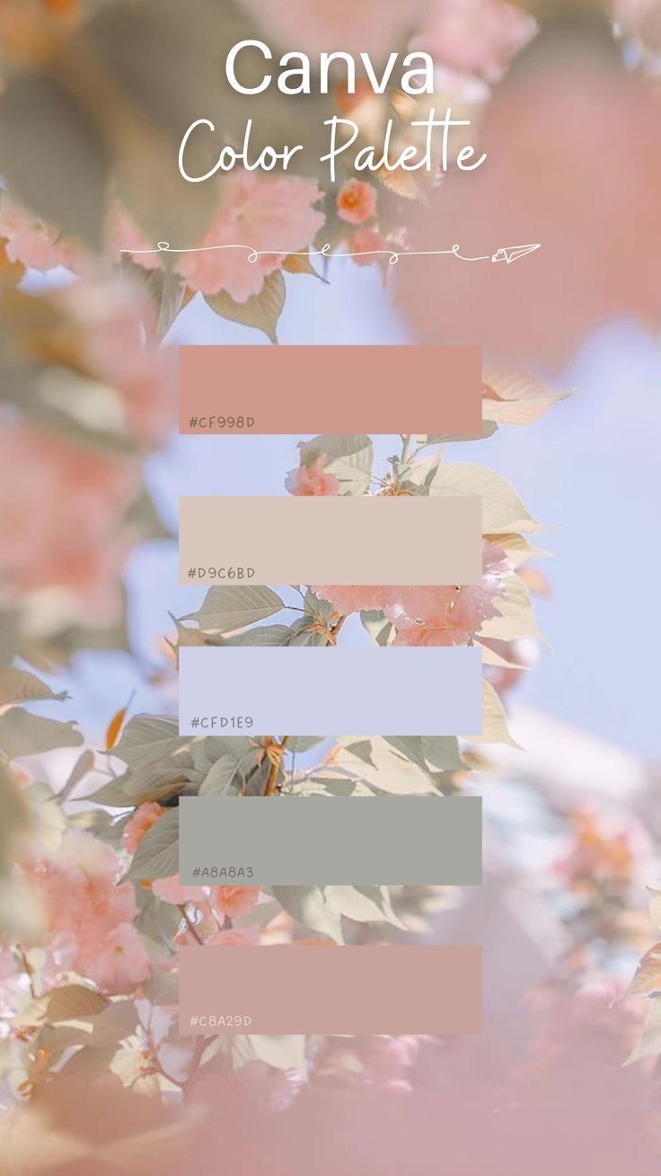 the color palette for canva is pink and blue, with white flowers on it