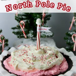 there is a cake with white frosting and candy canes on the top that says north pole pie