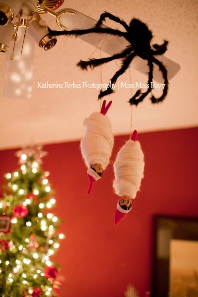 a spider hanging from the ceiling next to a christmas tree