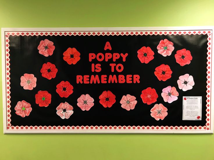 a poppy is to remember bulletin board with red and pink flowers on black paper in front of a green wall