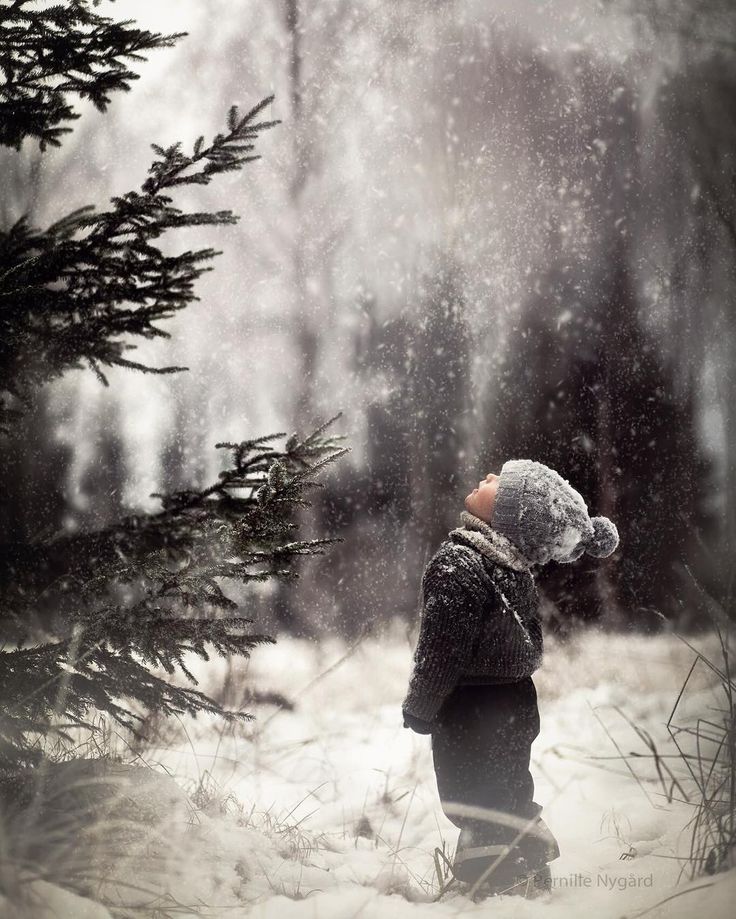 a young child standing in the snow with his back to the camera, looking at trees