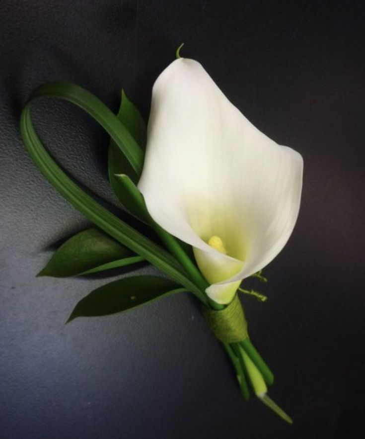 a white flower with green stems on a black surface