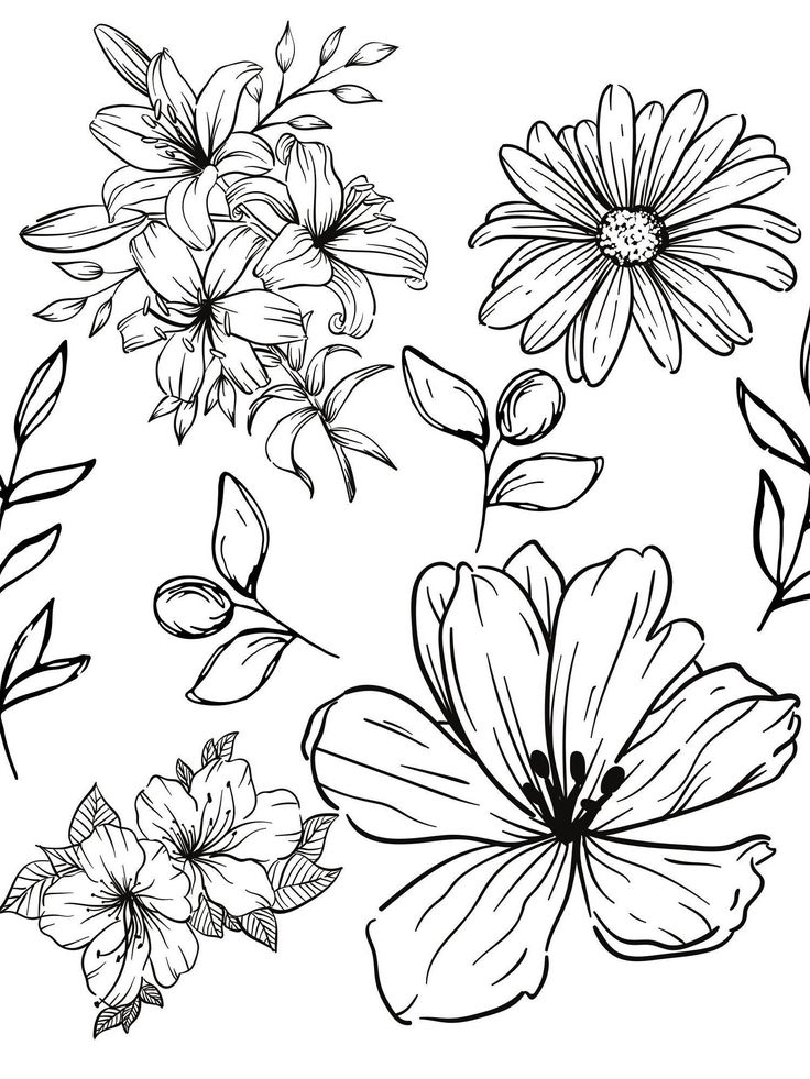 black and white flowers are shown in this coloring page for adults to print on their own walls