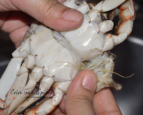 a person holding a crab in their hand