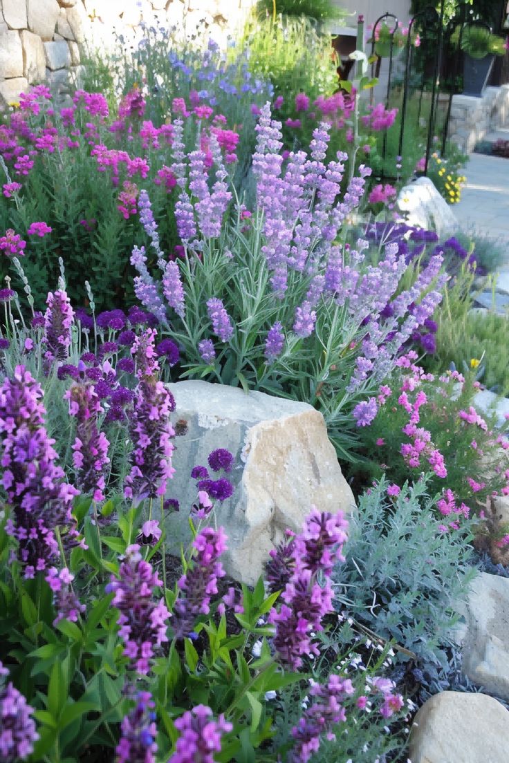 purple flowers and rocks in a garden