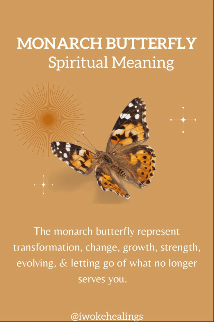 Butterfly Symbolism Meaning, Monarch Butterfly Meaning, Butterfly Spiritual Meaning, Butterfly Spiritual, Butterfly Spirit Animal, Butterfly Symbolism, Butterfly Meaning, Butterfly Transformation, Spirit Animal Meaning