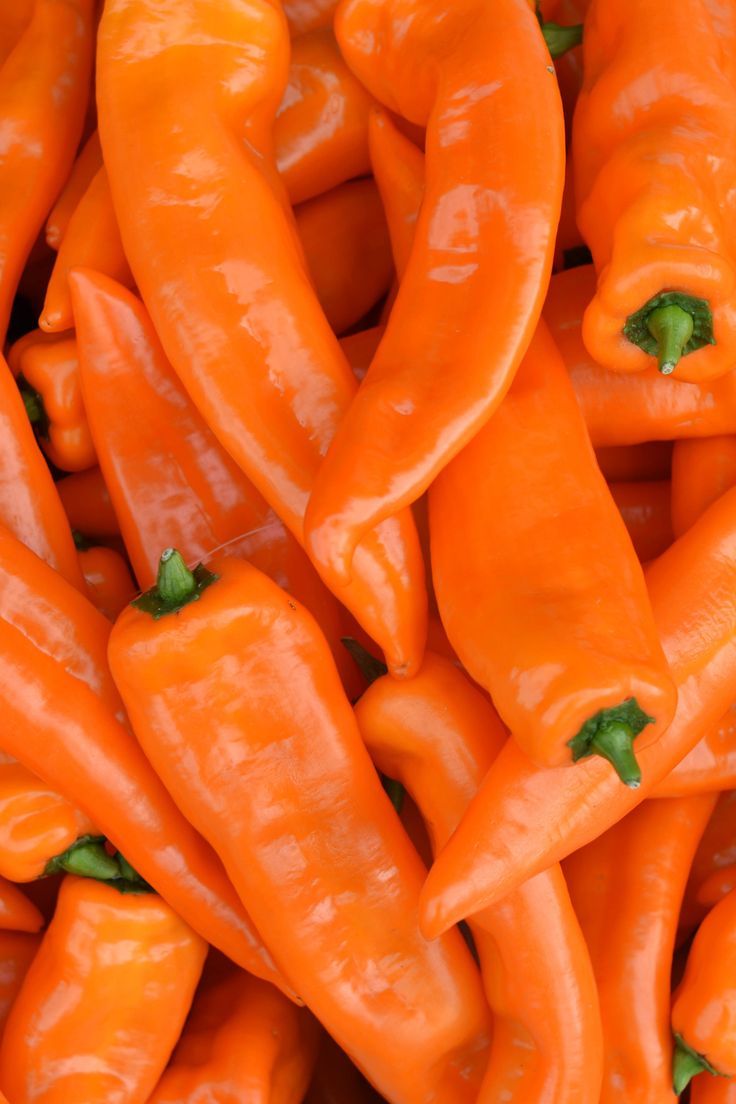 a pile of orange peppers with green stems