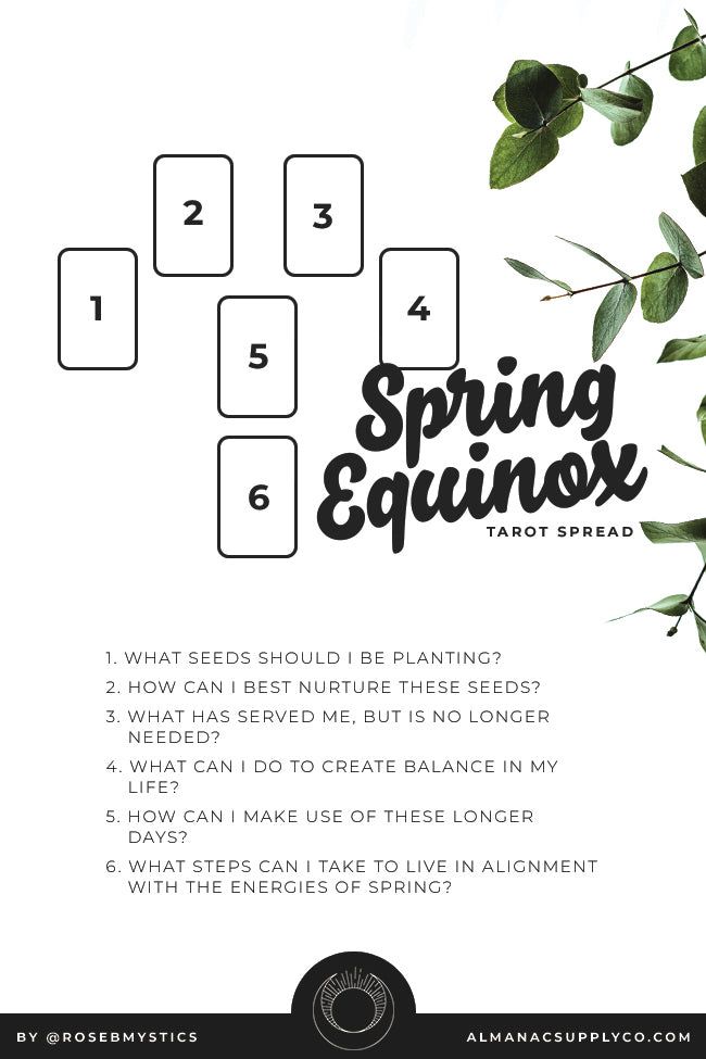 the word spring equinose is written in black and white with green leaves on it