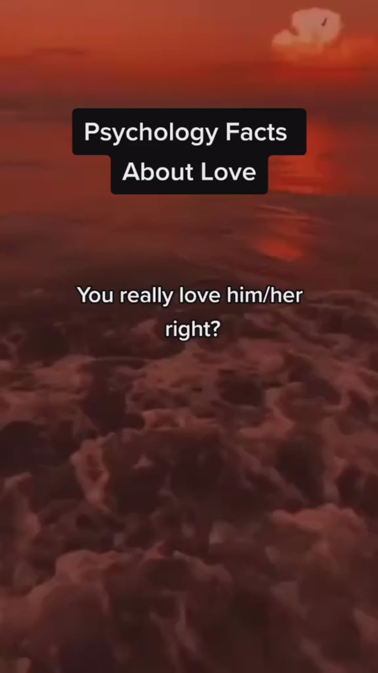 an image of the ocean at sunset with text that reads, technology fact about love you really love him or her right?