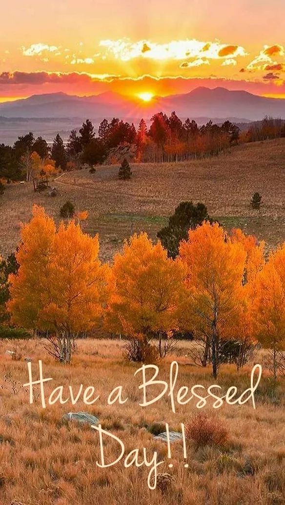 a field with trees and mountains in the background that says, have a blessing day