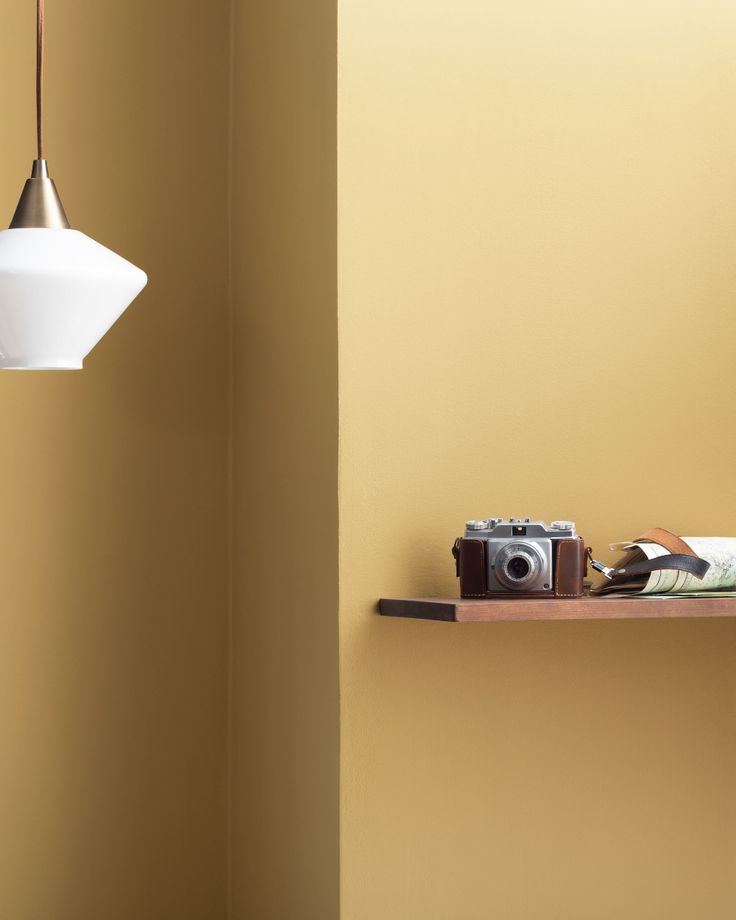 a camera and some books on a shelf