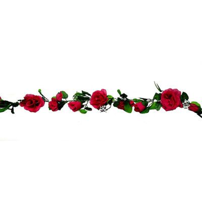 a long line of red roses on a white background