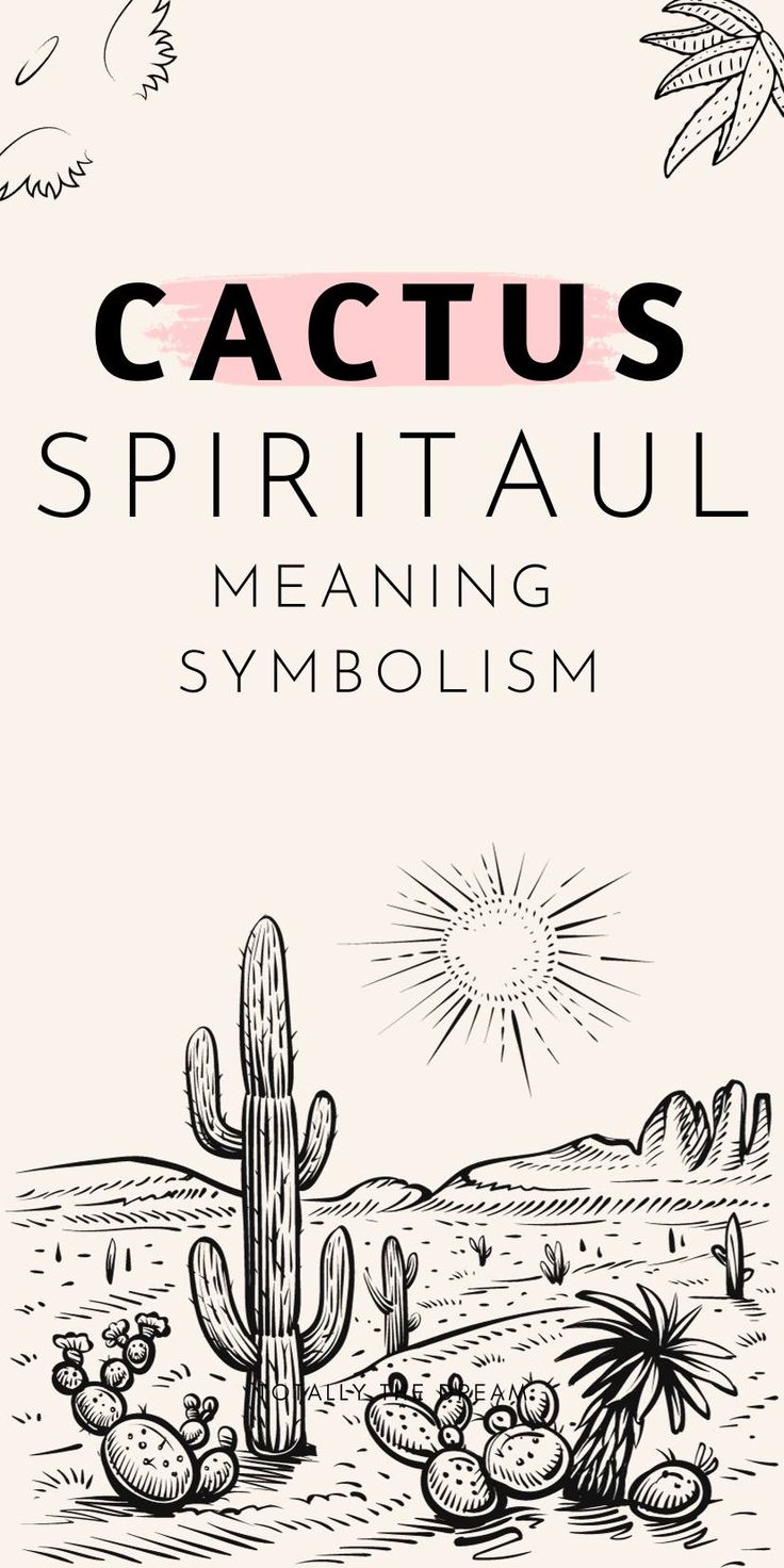 cactuses and cactus in the desert with text that reads,'cactus spiritaul meaning symbolism