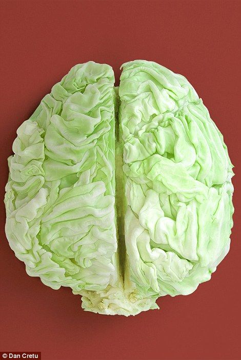 a close up of a green and white brain on a yellow background with the left side showing