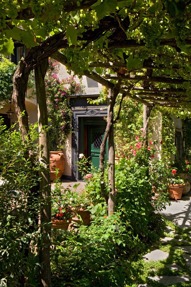 an outdoor garden with potted plants and trees