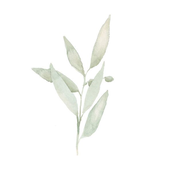 a watercolor painting of leaves on a white background