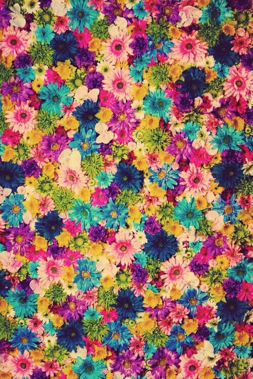 an image of colorful flowers that are in the middle of a wallpaper pattern with blue, pink, yellow and green colors