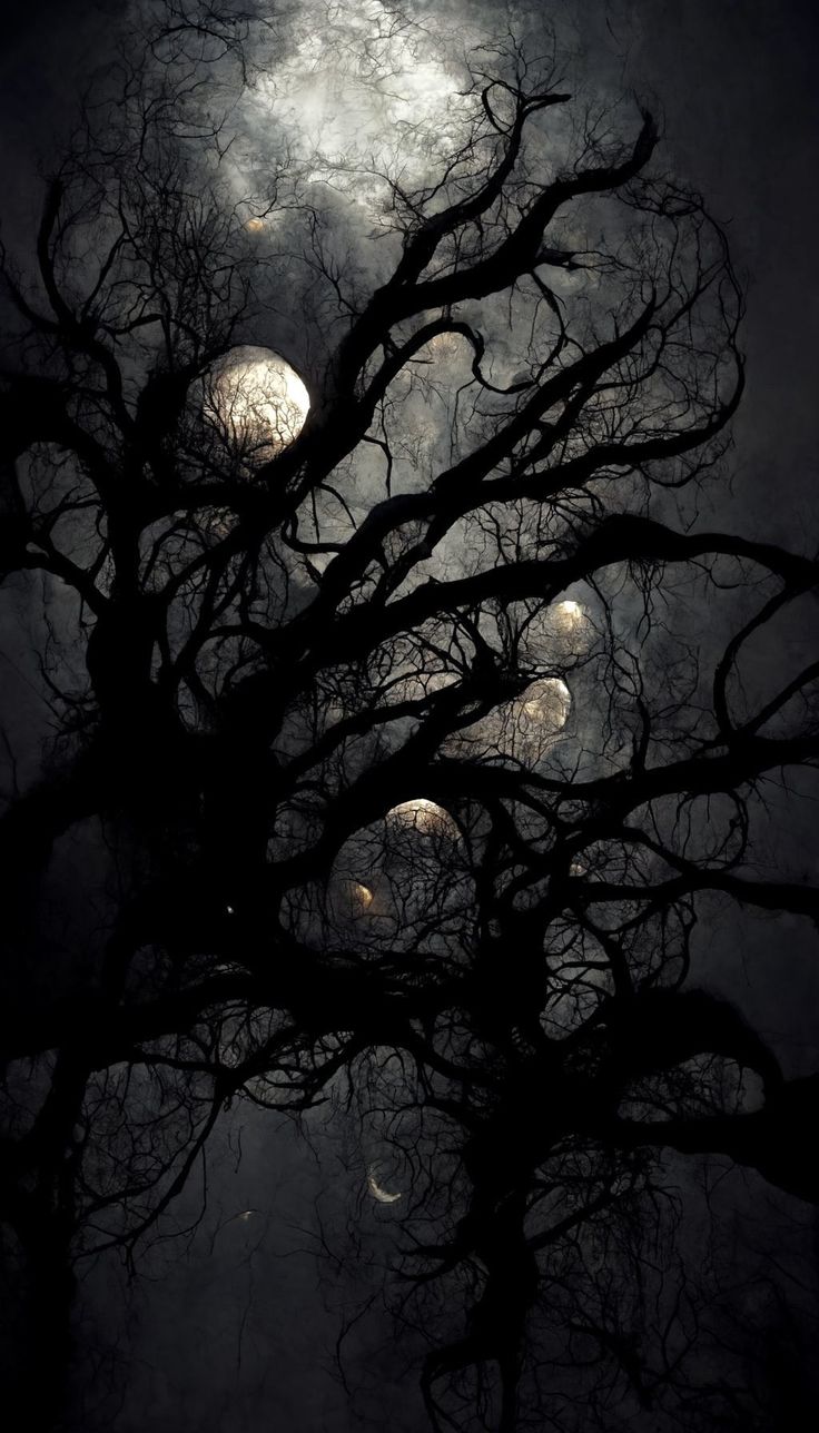 the moon shines through the branches of a tree in front of a dark sky