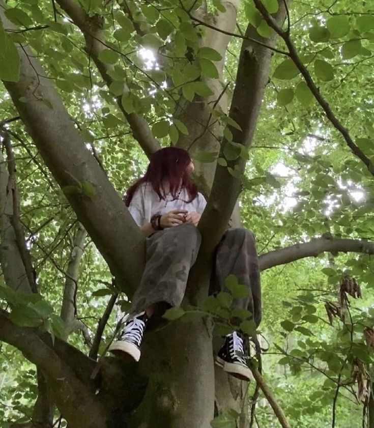 a woman sitting on top of a tree in the forest