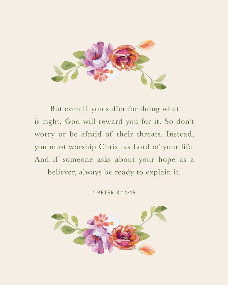 In the midst of our suffering, it can be difficult to see what God is doing and how our response to suffering can affect those around us. 1 Peter 3:14-15 reminds us that God will meet us in our suffering, and sharing our hope as believers can reveal God to those who might not know Him. Take some time today to read the entire passage, memorize these verses, and allow the truth of God’s Word to wash over you. Peter Verses, 1 Peter 3, Prayer Times, Do What Is Right, Prayer Board, 1 Peter, Bible Notes, Inspirational Bible Verses, S Word