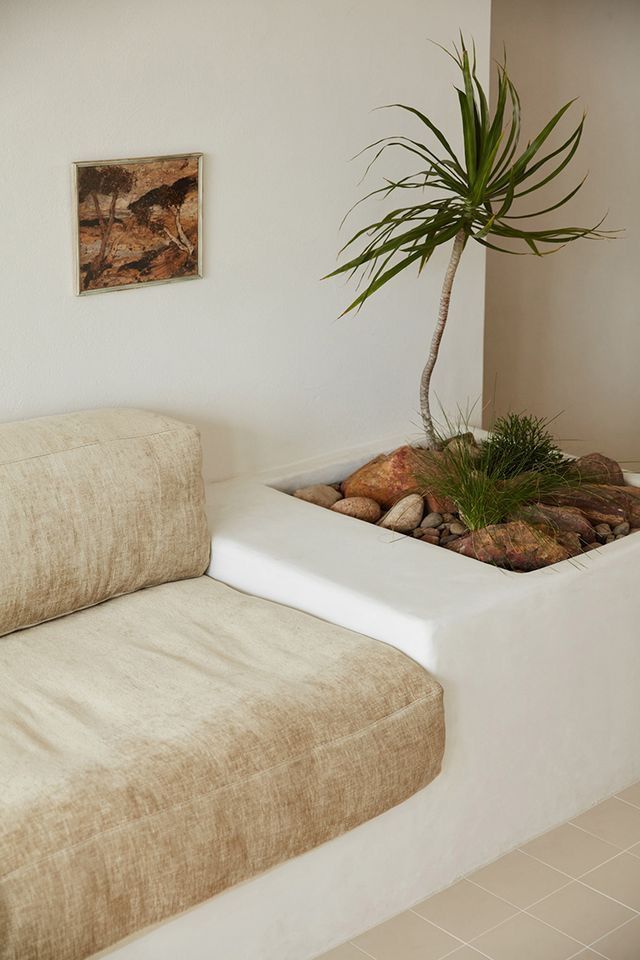 a living room with a couch and a potted plant