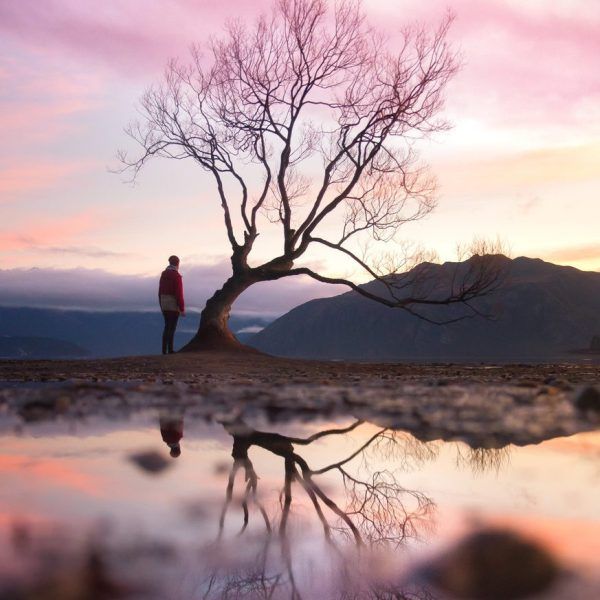 a man standing next to a tree with its reflection in the water at sunset or dawn