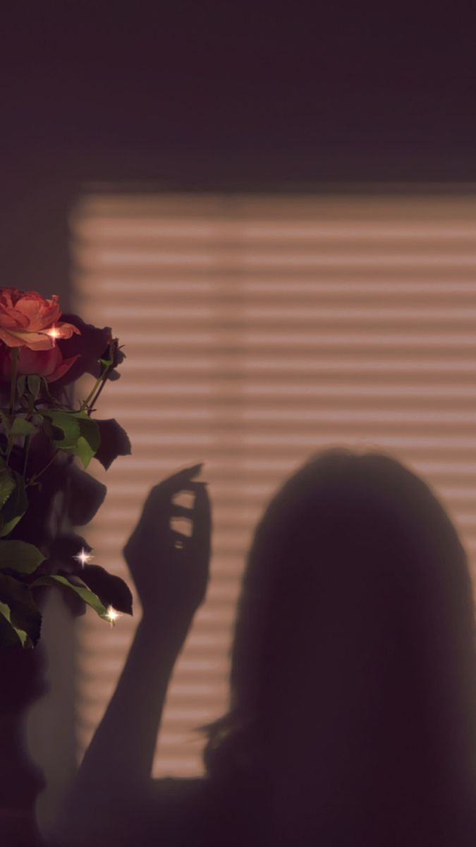 the shadow of a person holding a flower in front of a window with blinds on it