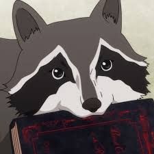 a raccoon holding a book in its mouth