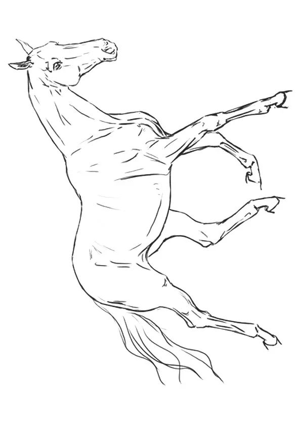 a horse that is standing up in the air with its front legs spread out and it's head turned to the side