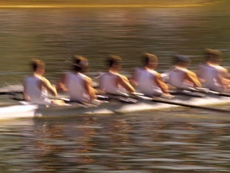 a row of rowers rowing on the water