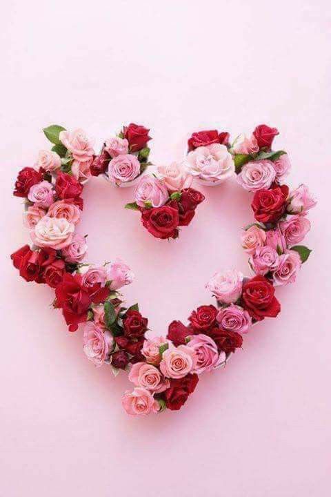 a heart made out of pink and red flowers