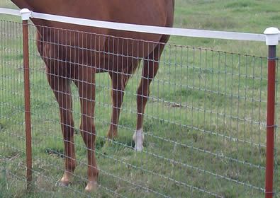 a brown horse standing next to a fence on top of a green grass covered field