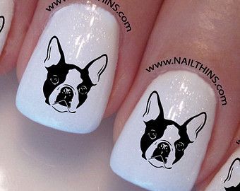 French bulldog Animal Creatures, Animal Nail Designs, Smart Nails, Flamingo Nails, Mickey Nails, Animal Nails, Dog Nails, Boston Terriers, Trippy Art