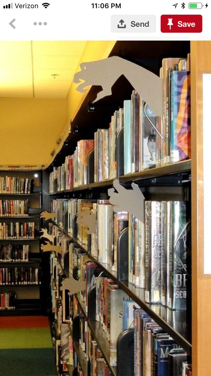 a long row of bookshelves filled with lots of different types of books and dvds