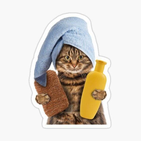 a cat wearing a blue towel and holding a yellow bottle with it's paw